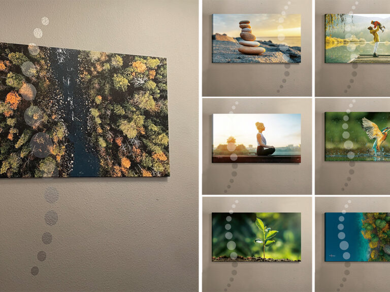 Collage aus Wandbildern in der Physiotherapie Bad Schwartau mit Natur- und Entspannungsmotiven